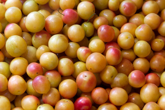 Close-Up Shot of Fresh yellow Plums with Vibrant Color