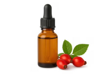 Rosehip seed oil in dropper bottle with rosehip berries and leaves on transparent background
