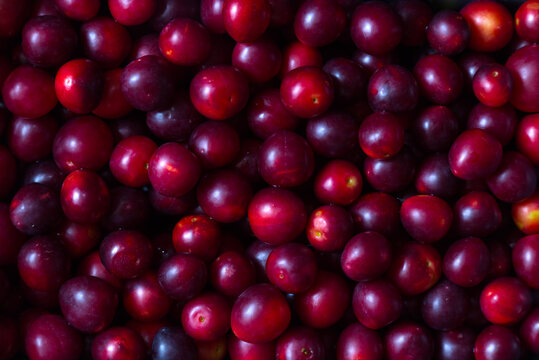 Close-Up Shot of Fresh Red Plums with Vibrant Color