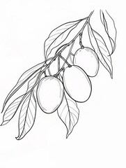 Minimalistic line art of mangoes