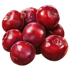 Obraz premium red plum cluster PNG, stylized look