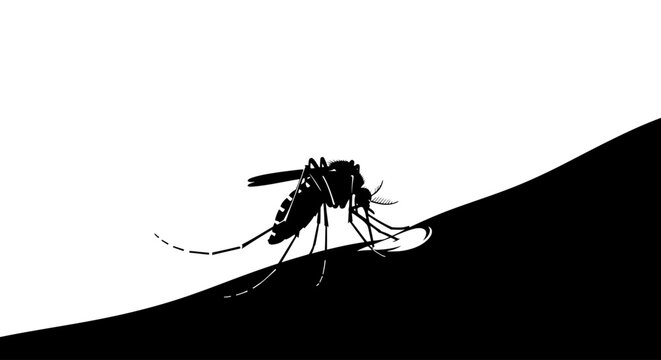 mosquito silhouette striking black and white vector for disease prevention campaigns medical illustrations and public health awareness materials