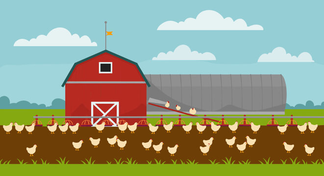 Flat design farm landscape with chickens and barn