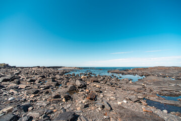 mountains and rocks with fresh green grass on the shore of the Arctic Ocean without people