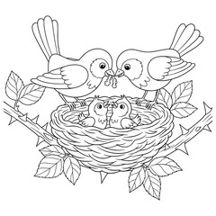 Elegant orchid flowers in a decorative basket tied with a bow, drawn in detailed line art style. Perfect for coloring books, floral-themed designs, botanical illustrations, and creative art projects