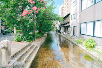 下鴨神社の美しい風景