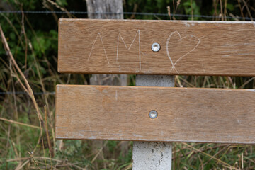 a bench in the park with AM and a heart carved into the wooden backrest
