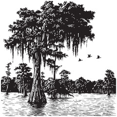 Detailed Cypress Tree in Swamp Black and White Vector Illustration