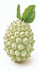 Exotic Spiky Fruit with Leaf