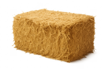 Hay bale standing on transparent background representing agriculture and farming