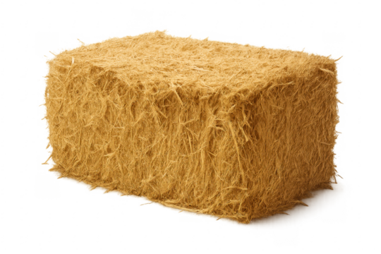 Hay bale standing on transparent background representing agriculture and farming