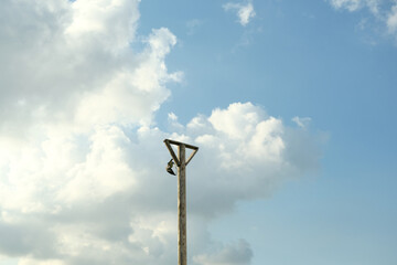 A pole with a light on top of it is in the middle of a cloudy sky