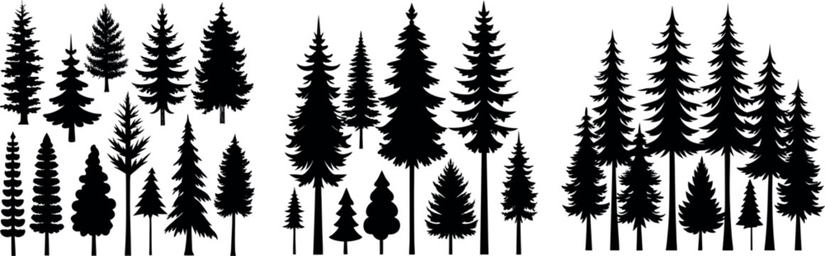 Forest tree silhouettes collection. Pine trees horizontal pattern panorama backgrounds. Vector illustration