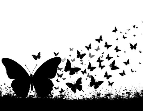 Black butterflies on white background