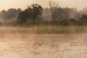 Piękny letni mglisty poranek nad wodą © Elżbieta Kaps