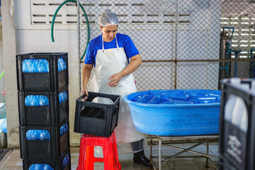 Asian fat female worker cleaning plastic water bottles outside and checking the quality of plastic...