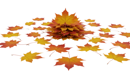 Vibrant red, orange, golden maple leaves artfully scattered on a transparent studio background with subtle reflection, copy space. Concept of cyclical change and renewal
