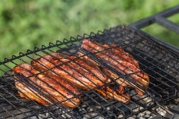 Cooking meat with spices on a grill. Barbecue. Picnic. Outdoor recreation