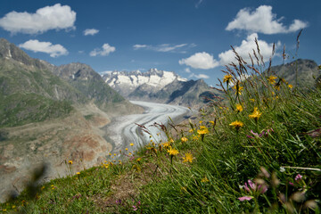 Photographs of the Aletsch Glacier, taken from Riederalp in the Rhone Valley, Wallis, Switzerland....