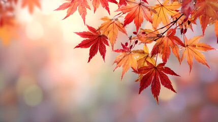 web banner design for autumn season and end year activity with red and yellow maple leaves with soft focus light and bokeh background