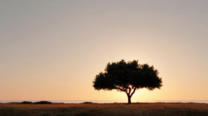 Obraz premium photorealistic ultraminimalist scene featuring solitary tree against breathtaking sunset backdrop
