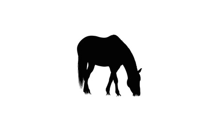 serene silhouette of a horse grazing perfect for ranch farm or equestrian branding websites and peaceful nature designs