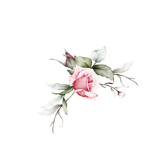 Beautiful pink roses with watercolor leaves