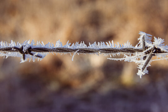 Close up image of frozen barbed wire fence on a frosty winter&rsquo;s morning