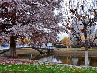 Cold autumn day at Complex Weekend in Targu Mures 