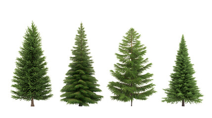 Obraz premium Four lush, green Christmas trees, ready for festive decoration isolated on white background
