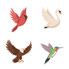 Obraz premium Four various bird species in cartoon swan, cardinal, eagle, hummingbird