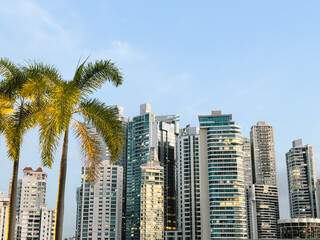 Modern Panama City Skyline with Palm Trees