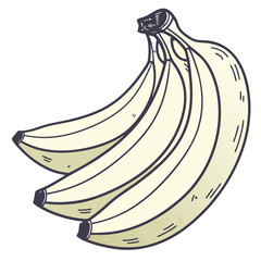 Handdrawn illustration of a bunch of bananas isolated on white background