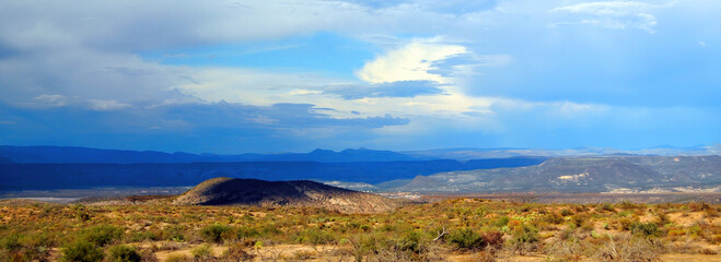 Landscape Sonoran Desert Arizona