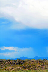 Landscape Sonoran Desert Arizona