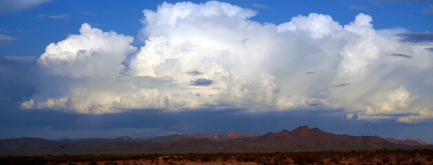 Landscape Sonoran Desert Arizona