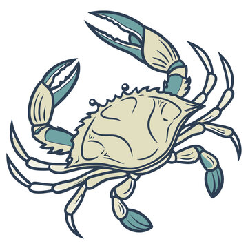 Illustration of a blue crab with claws raised isolated on white background