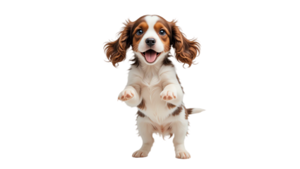Adorable puppy jumping with joyful expression showcasing playful energy and cute personality perfect for pet lovers family and animal enthusiasts