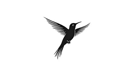 Obraz premium Hummingbird Tattoo Style Vector – Black Outline Bird Design