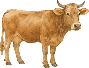 Vector watercolor illustration of a brown swiss cow