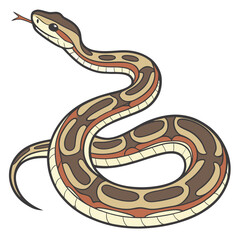 Cartoon python snake coiled with forked tongue flicking, isolated on white background