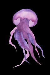 purple jellyfish watercolor illustration on black background