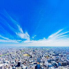 浜松駅 の 南側 海側 の 遠州灘 を 望む パノラマビュー 【 浜松市 の 都市風景 】