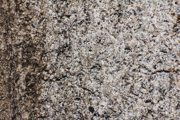 close-up Cement surface. Rough concrete beige wall with chaotic relief on it. Grunge texture, minimal background. 