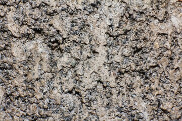 close-up Cement surface. Rough concrete beige wall with chaotic relief on it. Grunge texture, minimal background. 