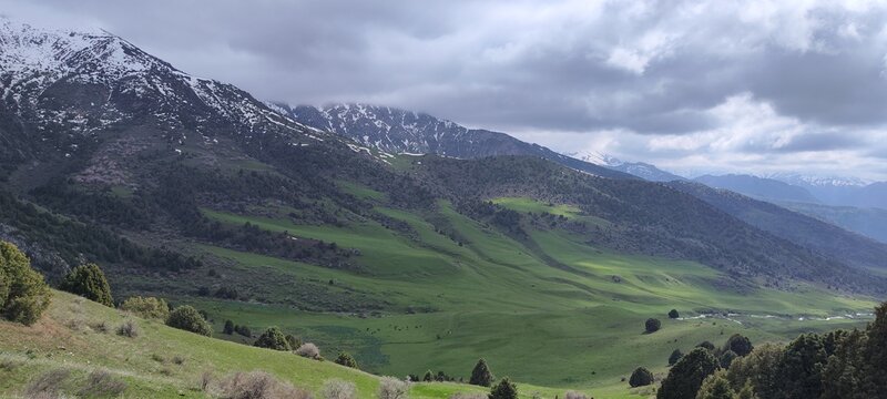 Low clouds, over spring green meadows, in the mountains. Tonkeris village, Karatobinsky rural district, Tolebiysky district, Turkestan region, Republic of Kazakhstan.