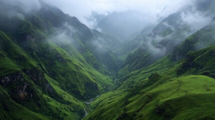 Naklejka premium Lush greenery blankets the valley floor as mist swirls around towering mountains. The landscape exudes tranquility and untouched beauty, inviting exploration and reflection