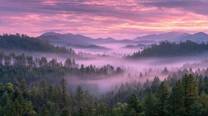 Obraz premium A serene landscape features mist rising over lush green forests as the sun rises, painting the sky with soft hues of pink and purple. The rolling hills create a breathtaking backdrop
