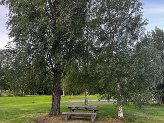 bench in the park
