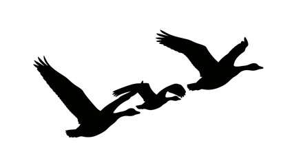 three geese in flight teamwork migration and freedom perfect for nature travel and collaboration designs